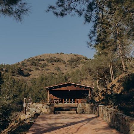 Bosco Paradiso Лімасол Екстер'єр фото